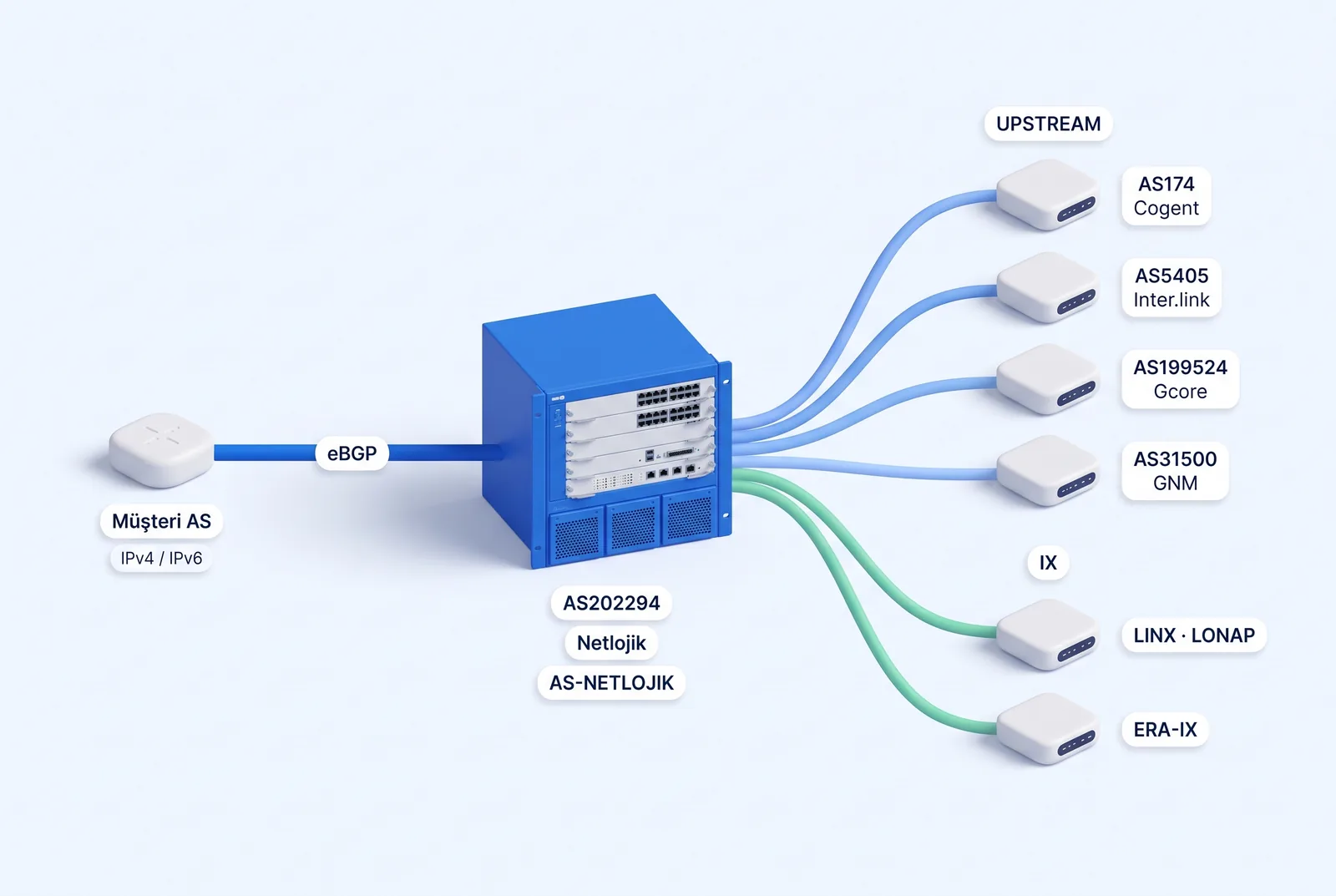 Müşteri AS'i AS202294'e eBGP ile bağlanır; AS202294 dört upstream sağlayıcıya ve üç IX route server'ına bağlıdır.